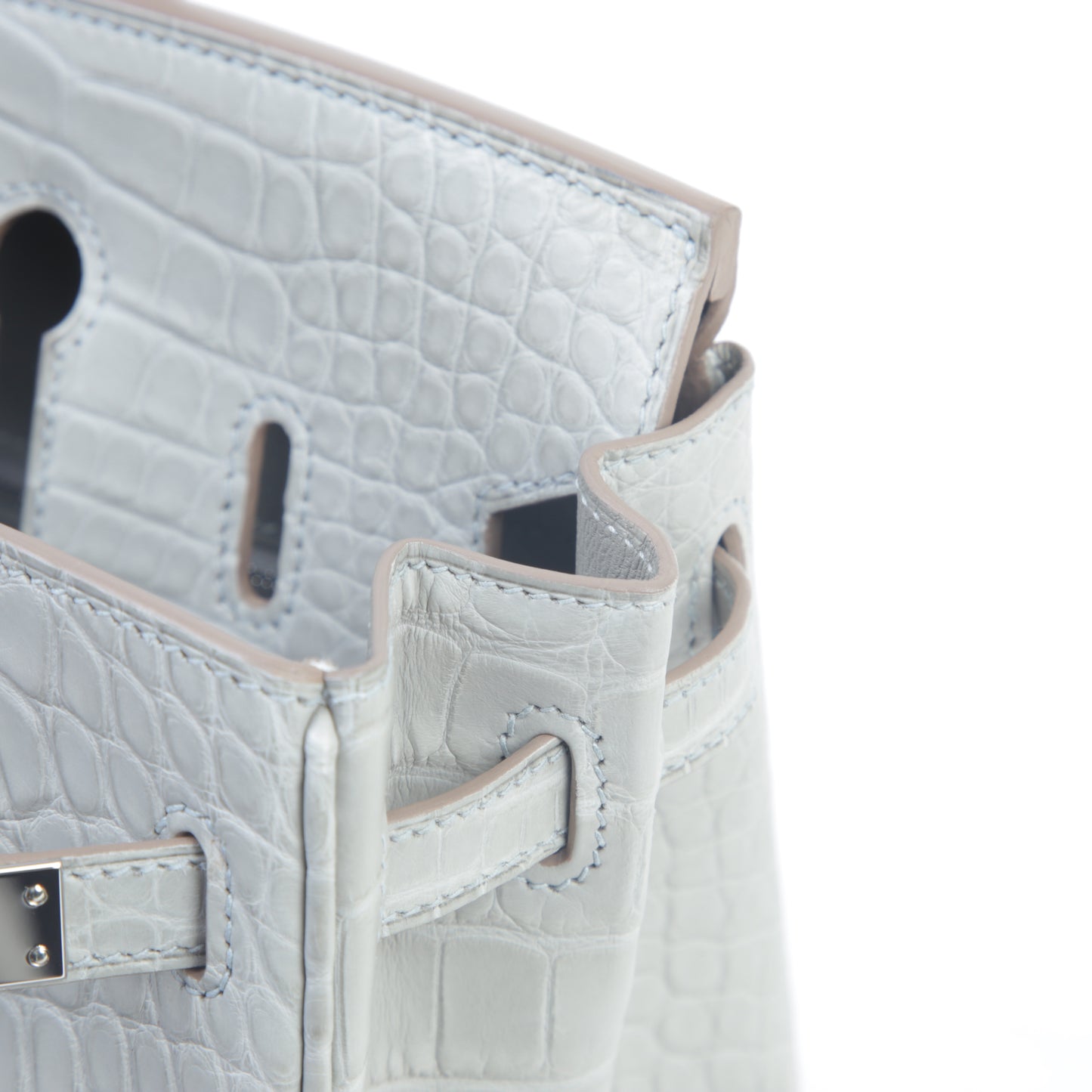 HERMÈS Hermes Birkin 25 Gripar Crocodile Alligator Matte
