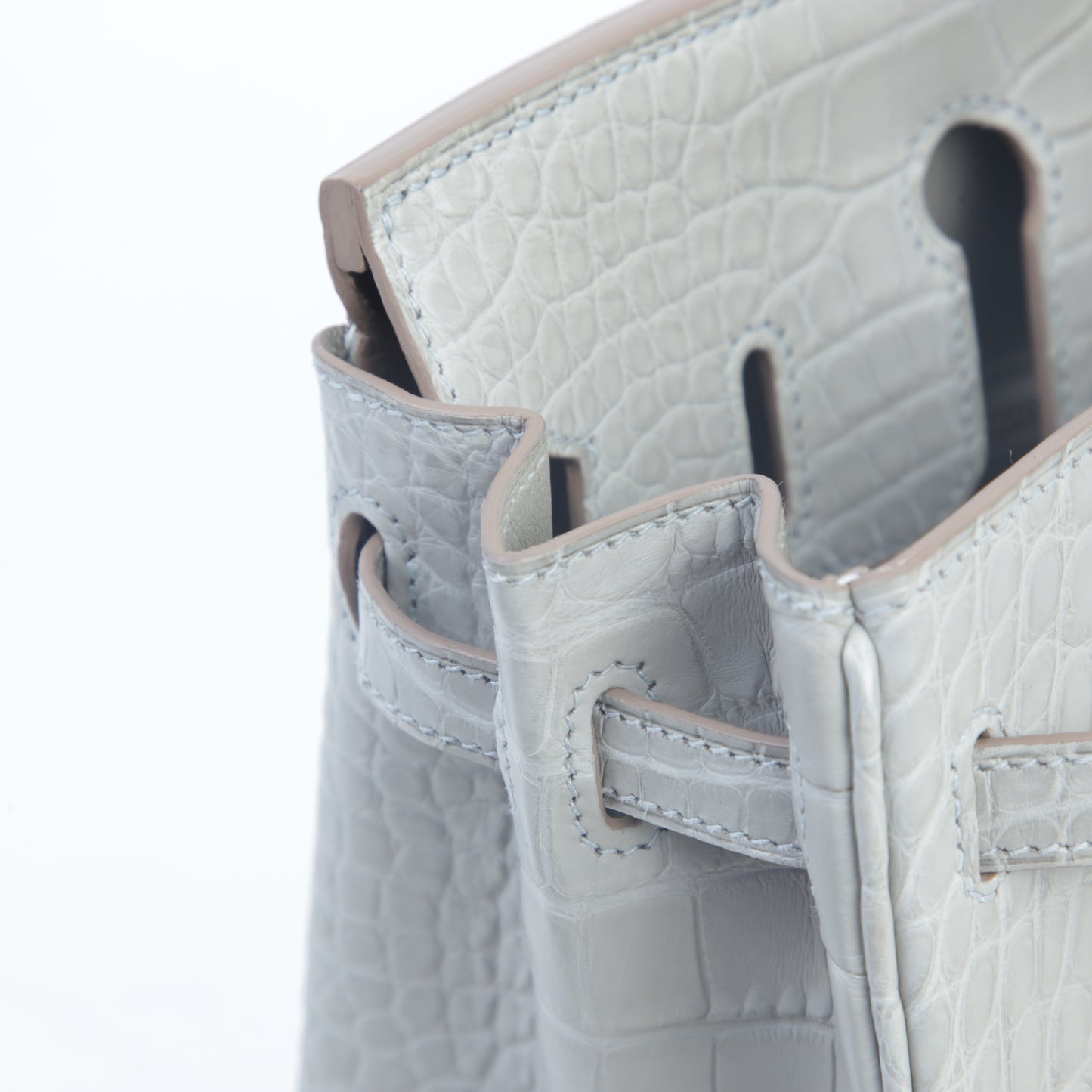 HERMÈS Hermes Birkin 25 Gripar Crocodile Alligator Matte