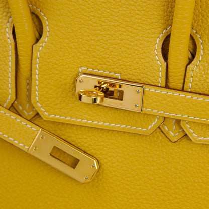 HERMÈS Hermes Birkin 25 Curry