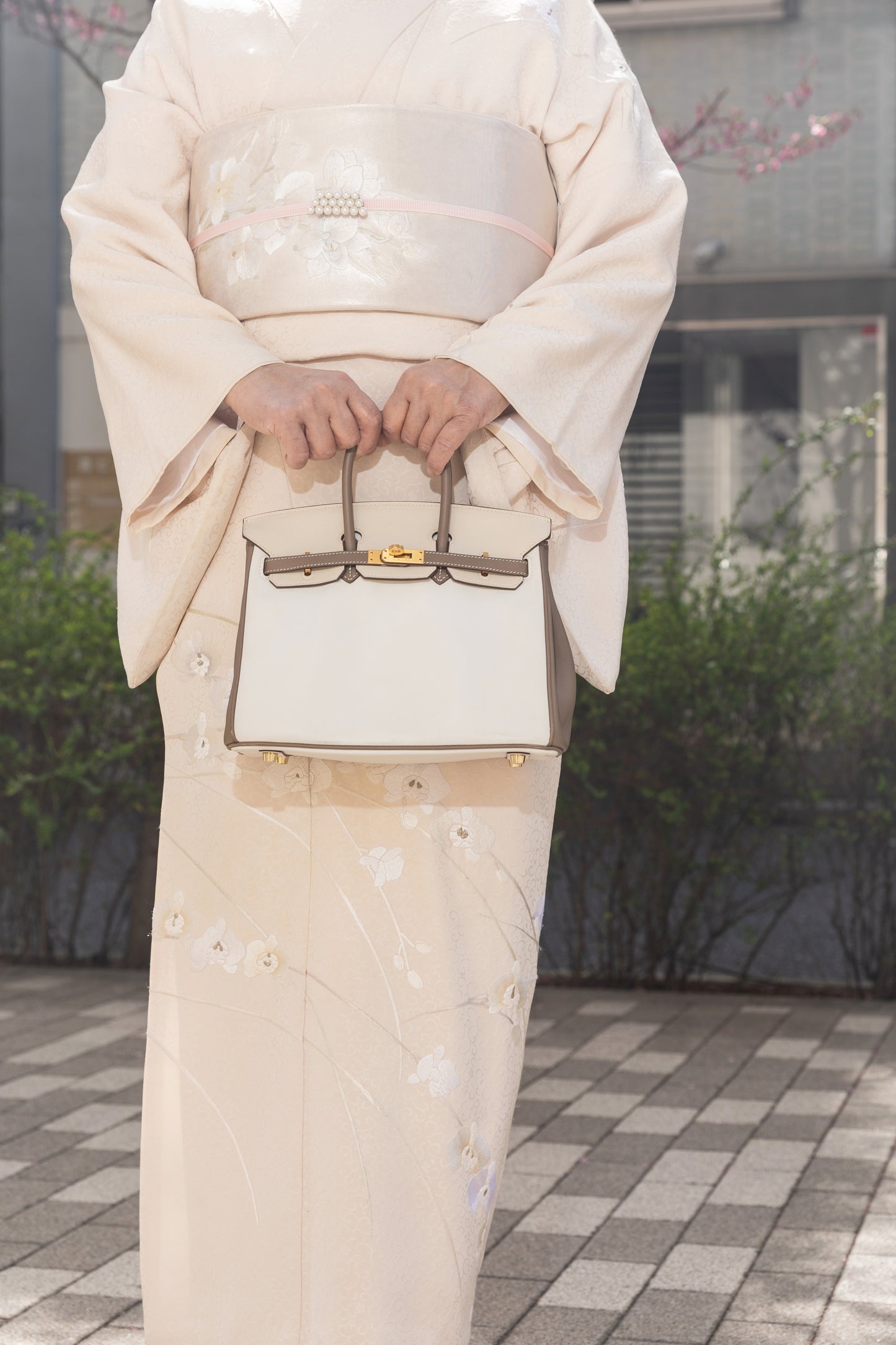 HERMÈS Hermes Special Order Birkin 25 Etoupe Parchemin White 