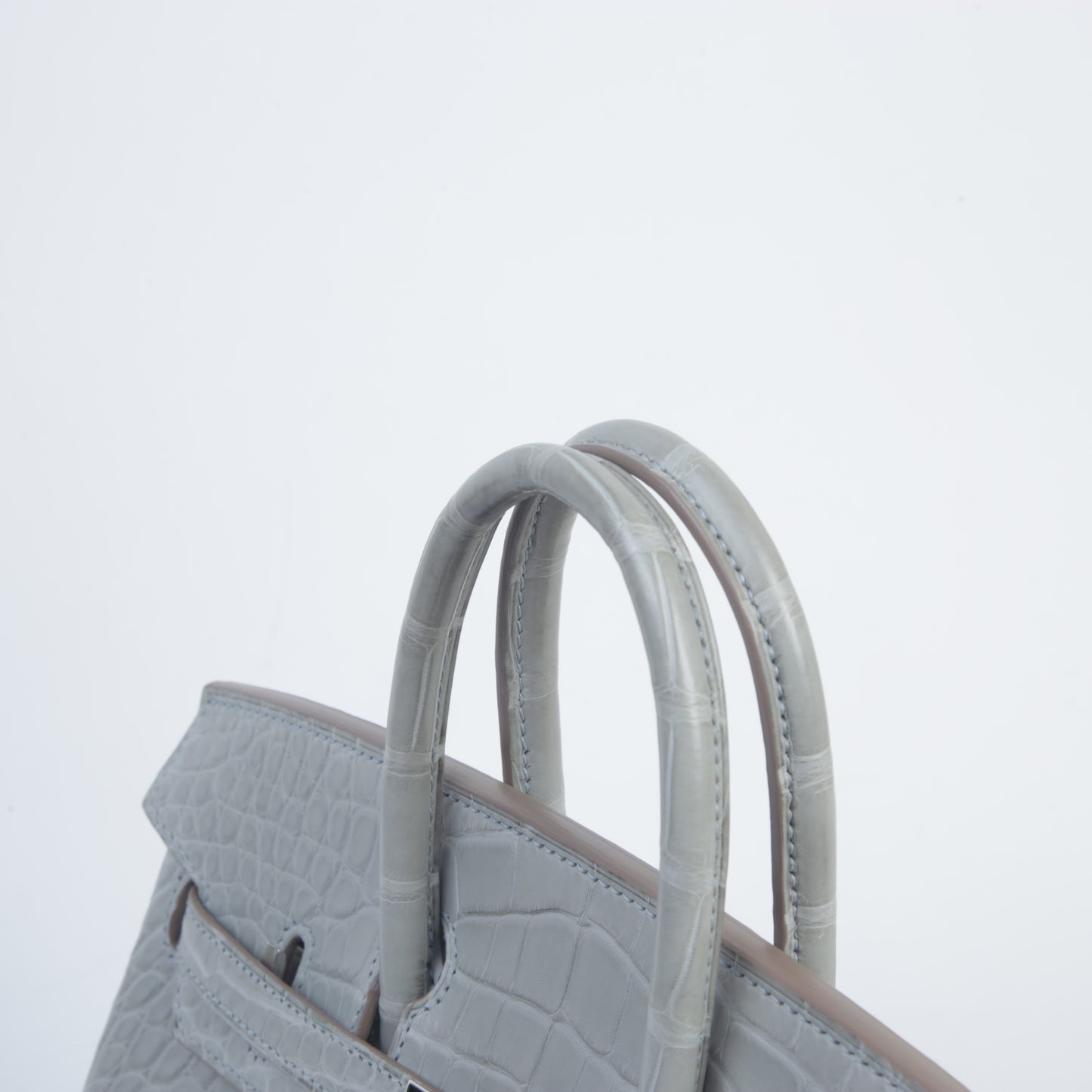 HERMÈS Hermes Birkin 25 Gripar Crocodile Alligator Matte 