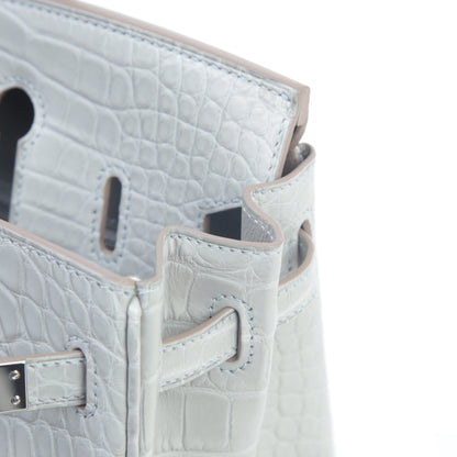 HERMÈS Hermes Birkin 25 Gripar Crocodile Alligator Matte 