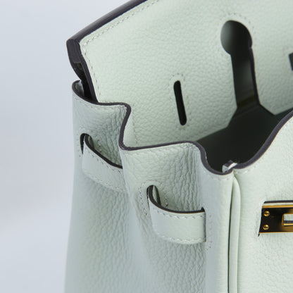 HERMÈS エルメス バーキン25 グリネヴェ