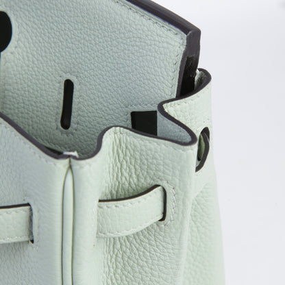 HERMÈS エルメス バーキン25 グリネヴェ